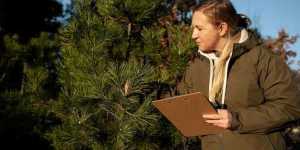 How to Legally Hunt on Private Land