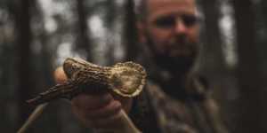 What to Expect on a Trophy Mule Deer Hunt