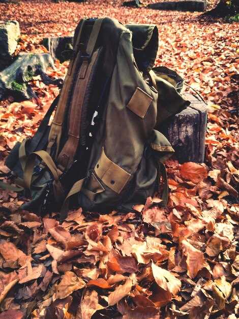 Key Features to Look for in a Multi-Day Hunting Backpack
