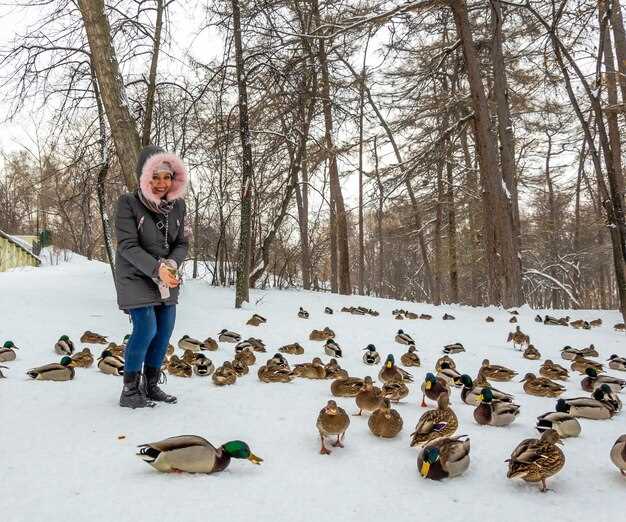 Choosing the Right Decoy Types for Late Season