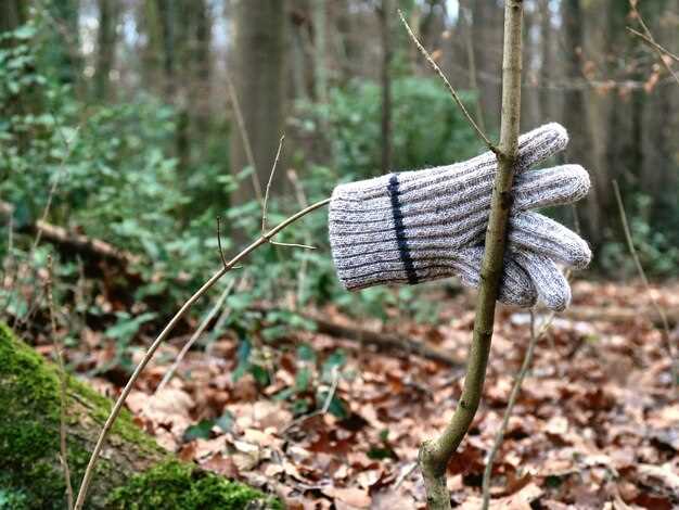 Footwear and Accessories: Keeping Extremities Warm