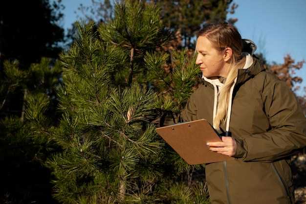 Navigating the Hunter Education Course Requirements