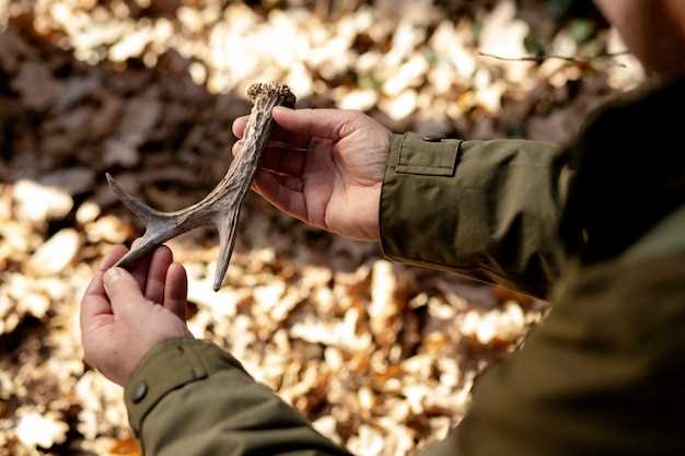 How to Stay Dry and Warm in Wet Hunting Conditions How to Stay Dry and Warm in Wet Hunting Conditions