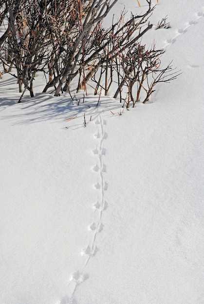 Choosing the Right Gear for Navigating Mountainous Hunting Areas