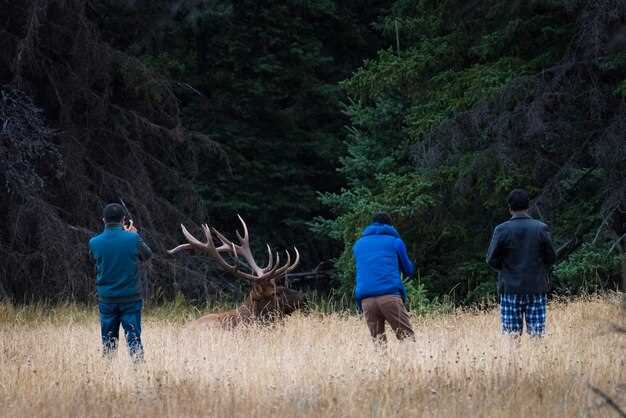 Understanding Moose Behavior and Habitat