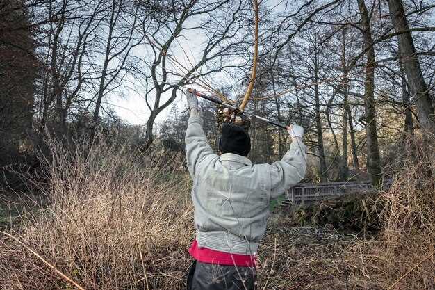 Regulations You Need to Know for Crossbow Hunting Regulations You Need to Know for Crossbow Hunting