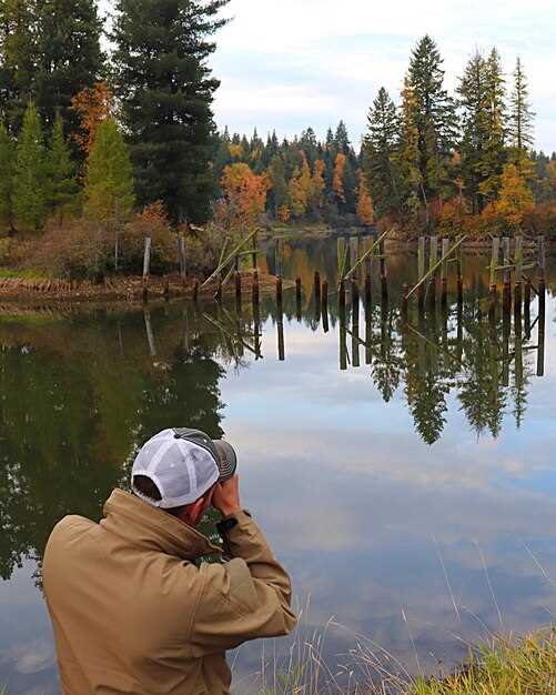 Timing Your Scouting Trips for Optimal Waterfowl Activity