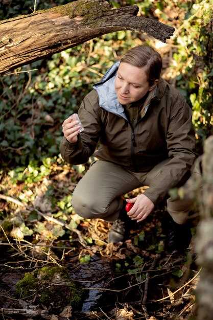 Tips for a Successful Mule Deer Hunt Tips for a Successful Mule Deer Hunt