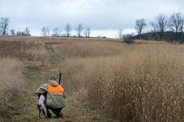 Navigating Hazardous Conditions: Rain, Snow, and Fog